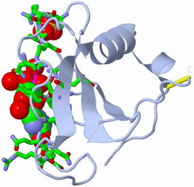 Image Biol. Unit 1 - sites