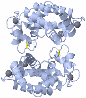 Image Biological Unit 1