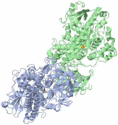 Image Asymmetric Unit