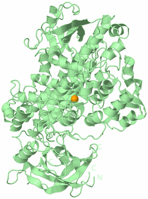 Image Biological Unit 1