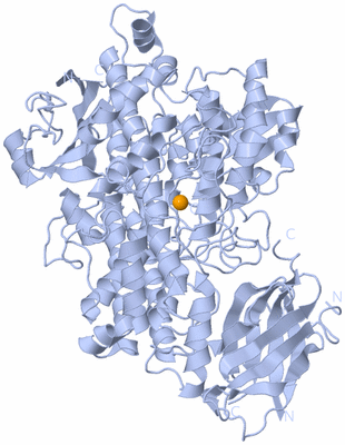 Image Biological Unit 2