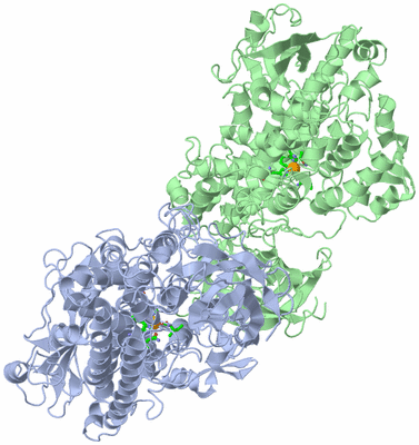 Image Asym. Unit - sites