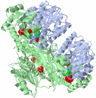 Image Biological Unit 1