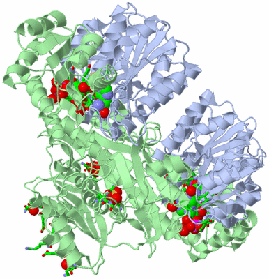 Image Biol. Unit 1 - sites