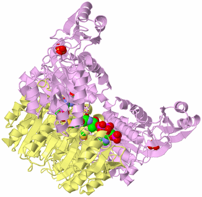 Image Biological Unit 2