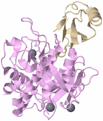 Image Asym./Biol. Unit