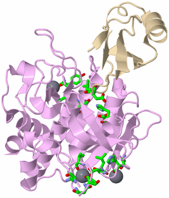 Image Asym./Biol. Unit - sites