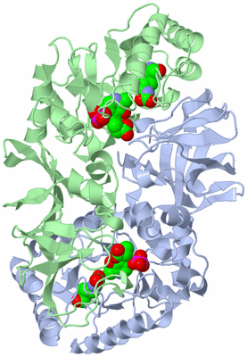 Image Asym./Biol. Unit