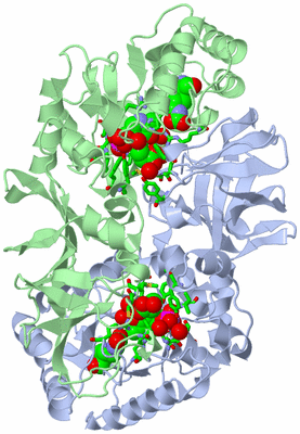 Image Asym./Biol. Unit - sites