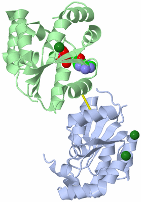 Image Biological Unit 1