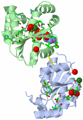 Image Biol. Unit 1 - sites