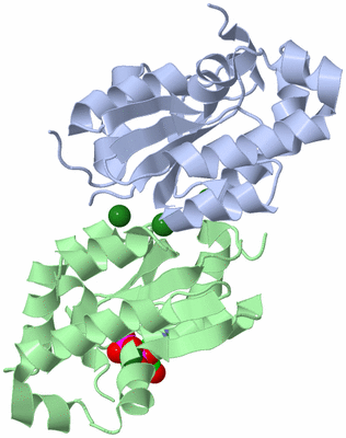 Image Biological Unit 2