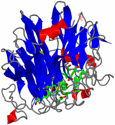 Image Asym./Biol. Unit - sites