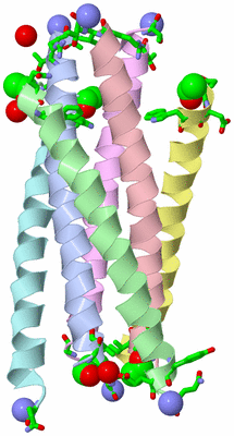 Image Asym./Biol. Unit - sites