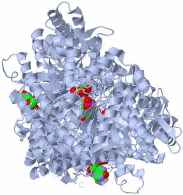 Image Biological Unit 1