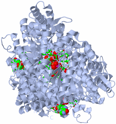 Image Biol. Unit 1 - sites