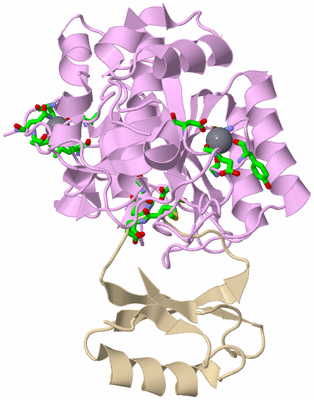 Image Asym./Biol. Unit - sites