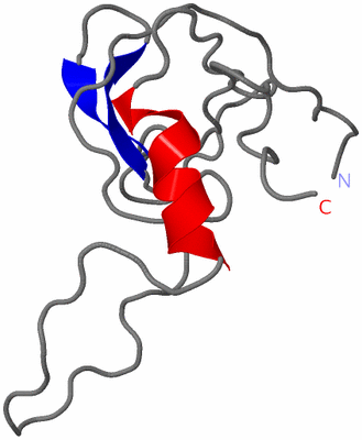 Image NMR Structure - model 1