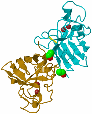 Image Biological Unit 1