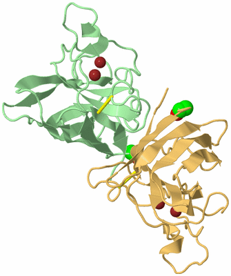 Image Biological Unit 2