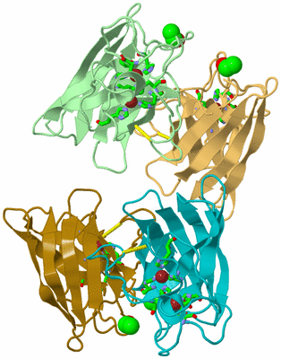 Image Asym. Unit - sites