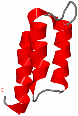 Image NMR Structure - model 1