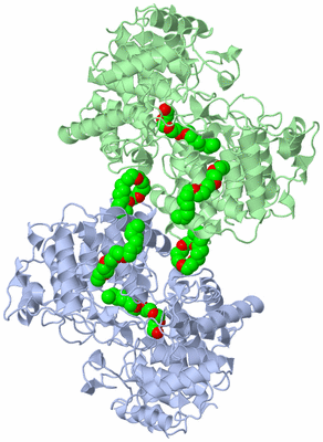 Image Asymmetric Unit