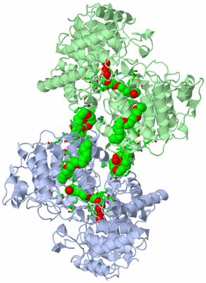 Image Asym. Unit - sites