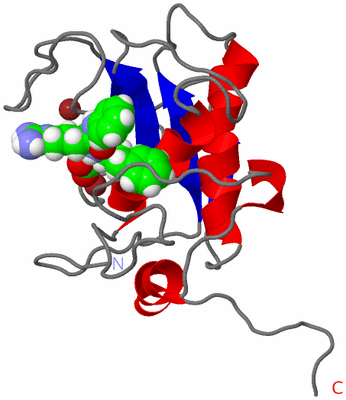 Image NMR Structure - model 1