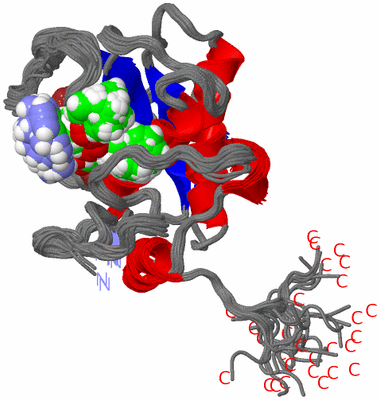 Image NMR Structure - all models