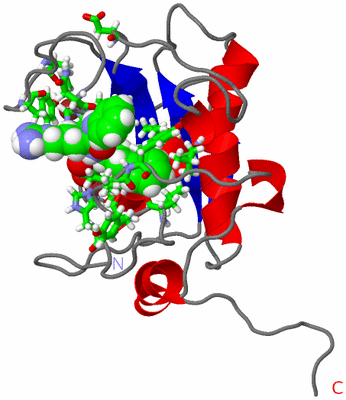 Image NMR Structure - model 1, sites