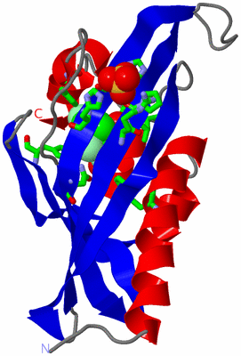 Image Asym. Unit - sites