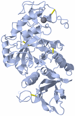 Image Biological Unit 1