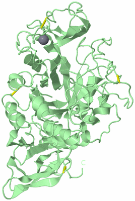 Image Biological Unit 2