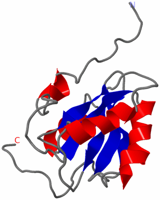 Image NMR Structure - model 1