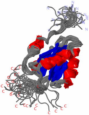 Image NMR Structure - all models