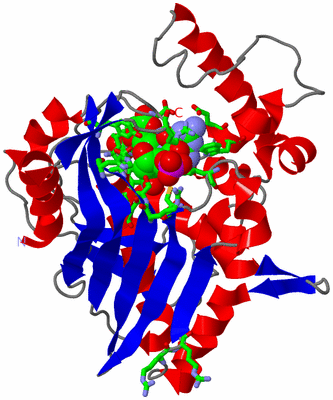 Image Asym. Unit - sites