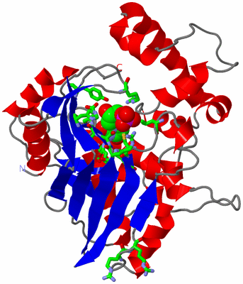 Image Asym. Unit - sites