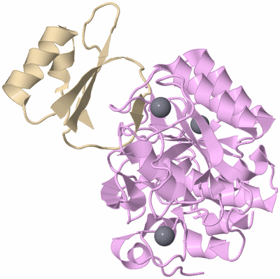 Image Asym./Biol. Unit