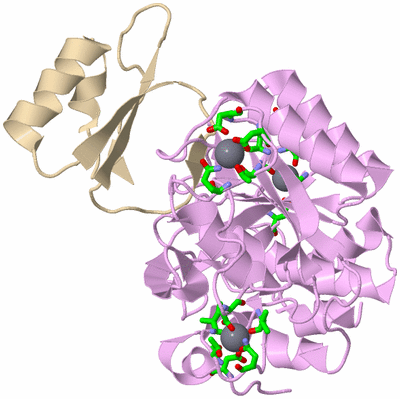 Image Asym./Biol. Unit - sites
