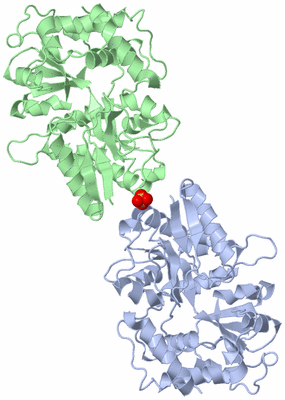 Image Asymmetric Unit