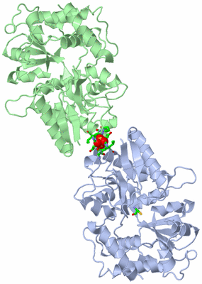 Image Asym. Unit - sites