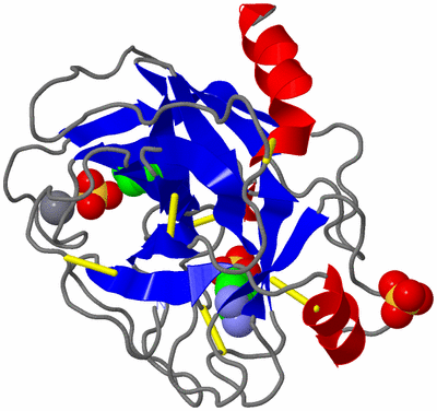 Image Asym./Biol. Unit