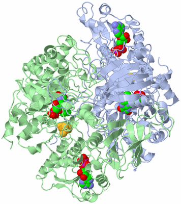 Image Asym./Biol. Unit