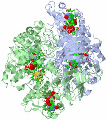 Image Asym./Biol. Unit - sites