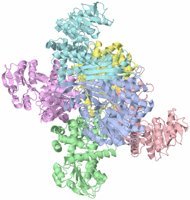 Image Asym./Biol. Unit