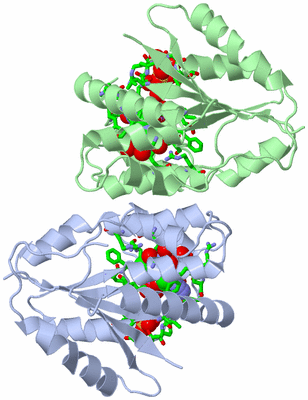 Image Asym./Biol. Unit - sites