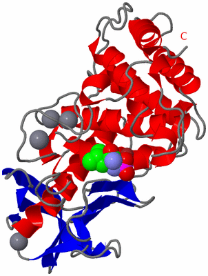 Image Asym./Biol. Unit