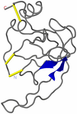 Image NMR Structure - model 1