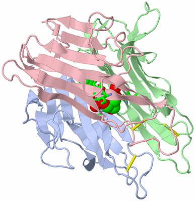 Image Asym./Biol. Unit - sites